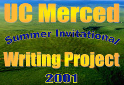 Writing Project - 2001